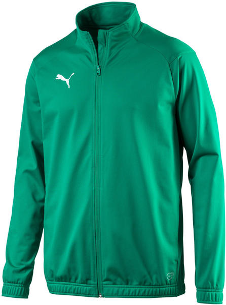 Puma Football Men's LIGA Sideline Poly Core Jacket (655946) pepper green/puma white