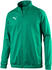 Puma Football Kids' LIGA Sideline Core Jacket (655947) pepper green/puma white