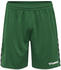 Hummel Authentic Kinder Poly Shorts green (204925-6140)
