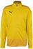 cyber yellow