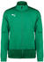 Puma TeamGOAL Training Jacket (656561) pepper green/power green