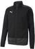 Puma TeamGOAL Training Jacket (656561)