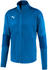 Puma teamFinal 21 Training Jacket (656473)
