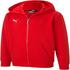 Puma teamGOAL 23 Casuals Hooded Jacket Youth (656714)
