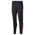 Puma teamLIGA Training Pants (657242)