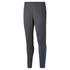 Puma teamLIGA Training Pants (657242)
