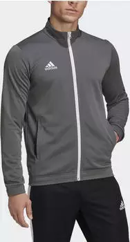 Adidas Entrada 22 (H57522) team grey four