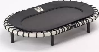 Standpolin Mini-Trampolin