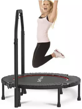 DH Fitlife Fitness-Trampolin 102 cm (BBC03-A)