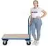 Proregal Plattformwagen 450kg Traglast, hellblau, 60x102x98cm (RTS3-01)
