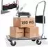 TecTake Plattformwagen mit Bremsen, Stahl, schwarz, 150kg (402777)