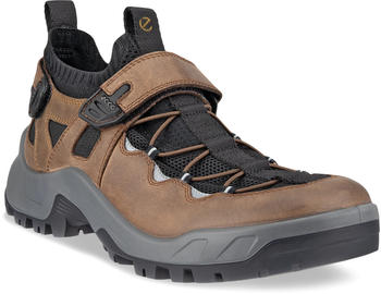 Ecco Offroad M braun