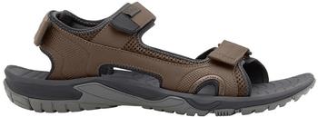 Jack Wolfskin Lakewood Cruise Sandalen Cold Coffee 4019011-5719-8