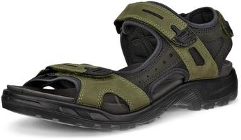 Ecco Offroad Sandalen Acorn peat