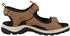 Ecco Offroad Andes II braun