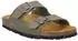 CMP Eco Thalita (3Q91016) sage