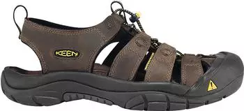Keen Newport bison
