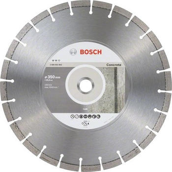 Bosch Expert for Concrete 350mm (2608603803)