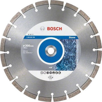 Bosch Expert for Stone 300mm (2608603750)