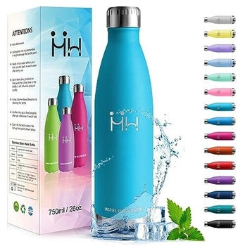 HoneyHolly Edelstahl Trinkflasche 750ml blau