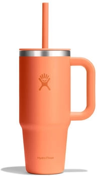 Hydro Flask All Around Travel Tumbler 24oz 710 ml (TT24PSC690) Nectar