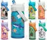 Camelbak Thrive Flip Straw Kids VSS 0,35L (360202) dino jam