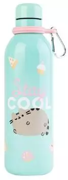 Erik Pusheen Thermoflasche aus Edelstahl 500ml (BMHC003)