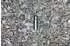 SIGG Gemstone IBT (0.5L) Selenite