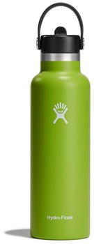 Hydro Flask Standard Flex Straw Cap (621ml) Seagrass