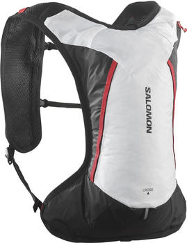 Salomon Cross 4 white/black