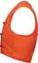 POC Ultra Vest