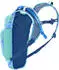 Camelbak Mini M.U.L.E. 1,5L blue/palm