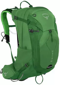 Osprey Manta 24 green shade