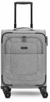 REDOLZ Essentials 12 Cabin 4-Rollen-Trolley 55 cm grey (RD12372-2-02)