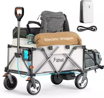 Bollerwagen W1 Pro