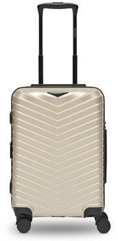 REDOLZ Essentials 18 4-Rollen-Trolley 55 cm (RD12419) metallic greige shiny