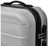 vidaXL Hardcase Trolley Set 45.5/55/66 cm silver