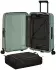 Samsonite Essens Spinner 55 cm sage