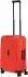 Samsonite Essens Spinner 55 cm lava