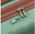 DELSEY PARIS CARROUSEL 2 Expandable M 67cm green sage
