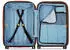 DELSEY PARIS CARROUSEL 2 Expandable M 67cm green sage