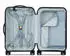 DELSEY PARIS Turenne 2.0 S 55cm silver