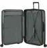 Samsonite 2Wander Spinner 75 cm (159911) matt sage khaki