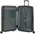 Samsonite 2Wander Spinner 75 cm (159911) matt brown