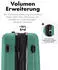 Flexot F-3045 4-Rollen-Trolley 68 cm greygreen