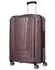 Titan X-Ray 4-Rollen-Trolley 55 cm (700846) taupe