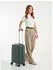 American Tourister Summer Pop 4-Rollen-Trolley 55 cm (158003) dark forest
