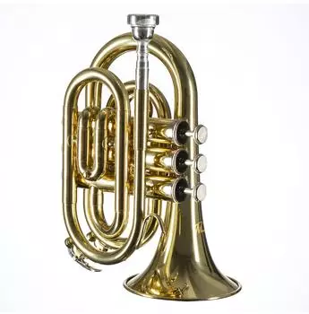 Monzani MZMT-500L