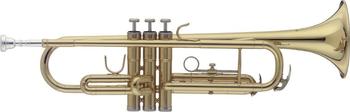 Stagg WS-TR215S