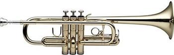 Stagg WS-TR255S